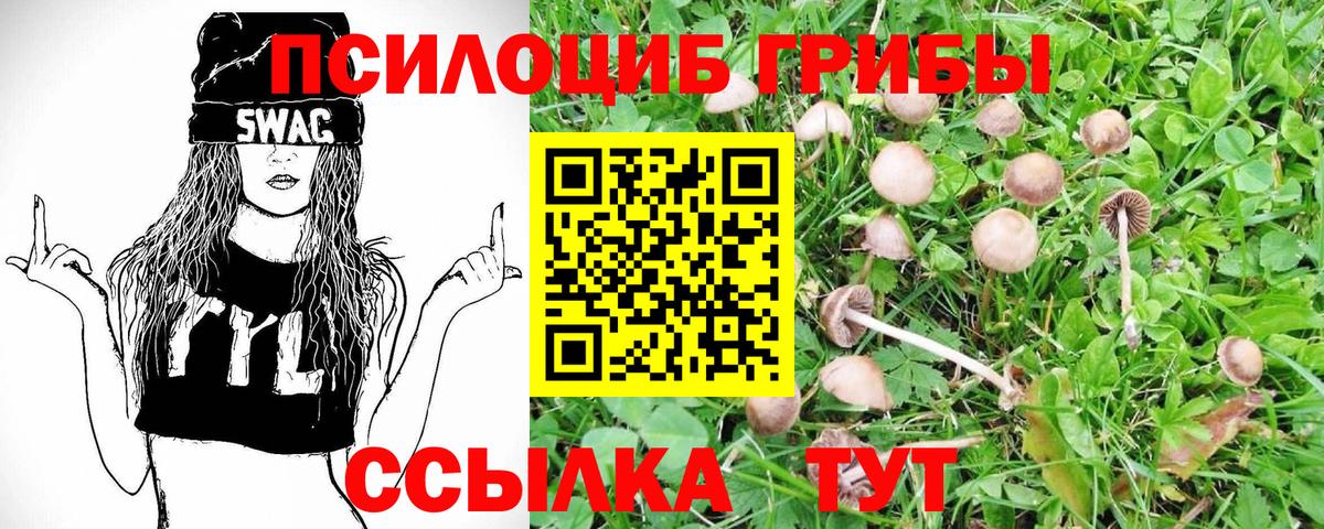 Галлюциногенные грибы прущие грибы  Псилоцибиновые грибы GOLDEN TEACHER  как найти   Вход с VPN  Нарткала 